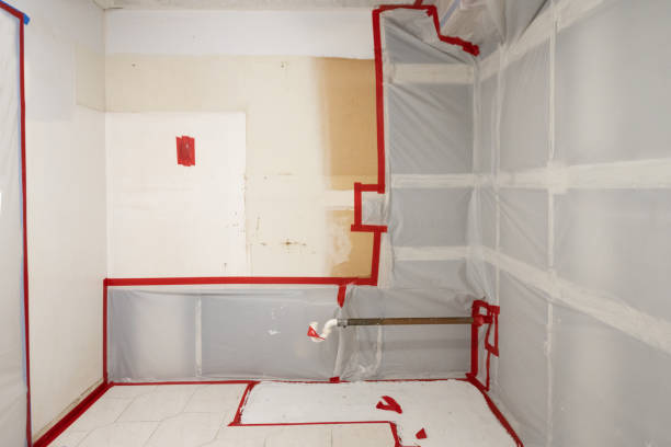 Hillcrest, NY Mold Removal Company